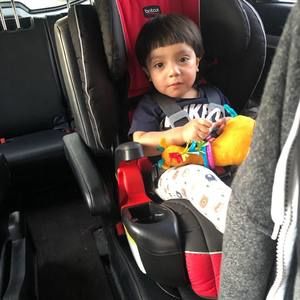 Meet your Posher, Teletor